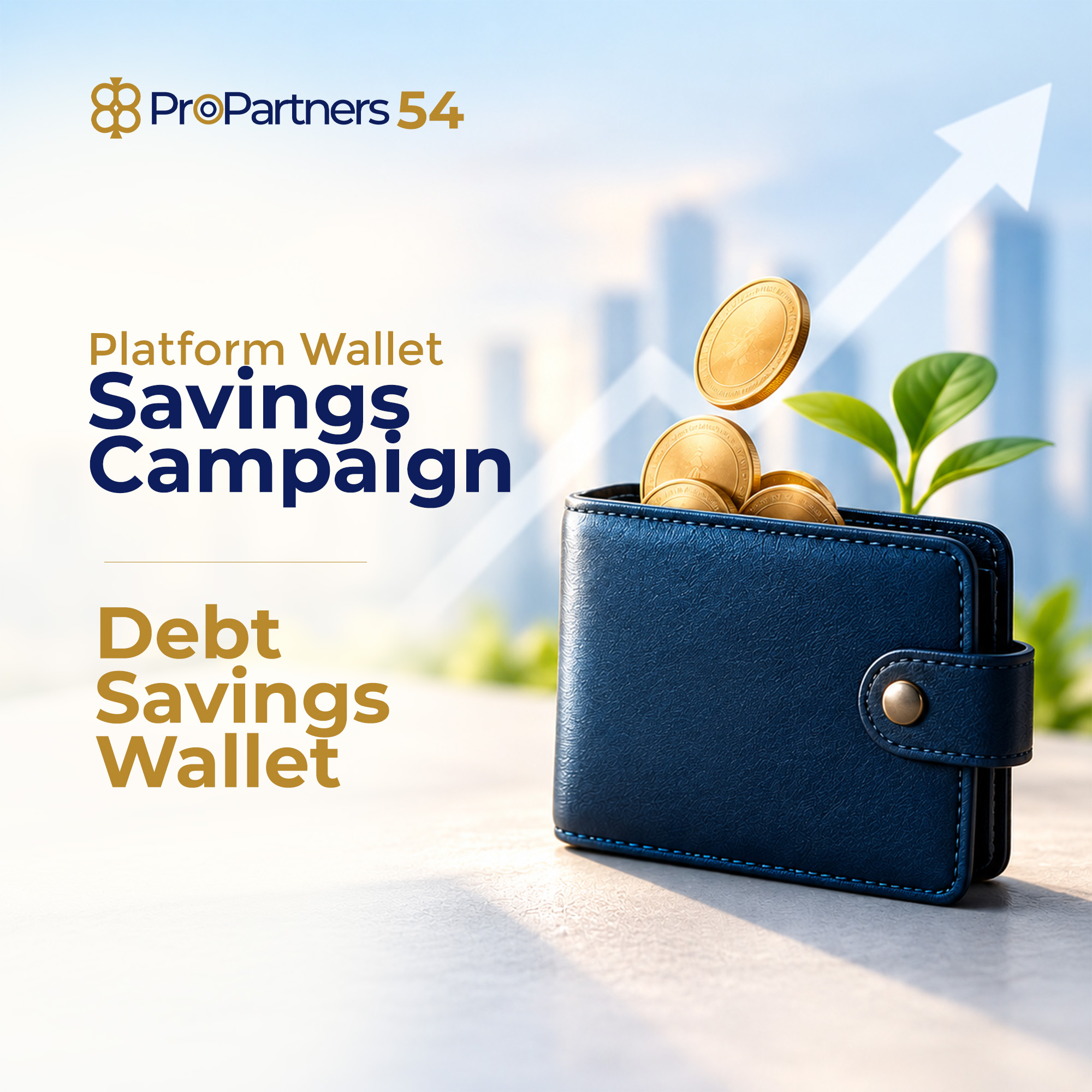 Debt Savings Wallet (DSW) Rolling Campaign gallery image